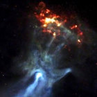 Tim Bogaerts thumbnail