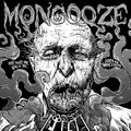Mongooze image