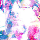 m r chapman thumbnail