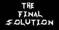 THE FINAL SOLUTION image
