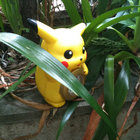 jima thumbnail