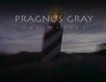 Pragnus Gray Collective image