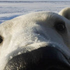 Evoke 2010-2020 | Aldious