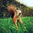 mnd_ thumbnail