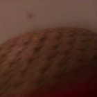 Reuben Maskell thumbnail
