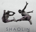 Shaolin image