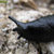 BlackSlug thumbnail