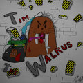 Tim the Walrus image