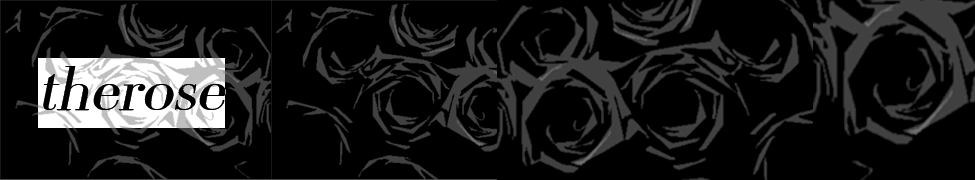 The Rose — Photo