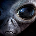 Val Gore thumbnail