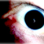 Paul Challis thumbnail