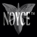 NOYCE™ image