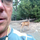 Dana Dana thumbnail
