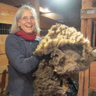 Deborah Robson thumbnail
