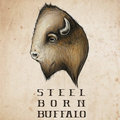 Steel Born Buffalo