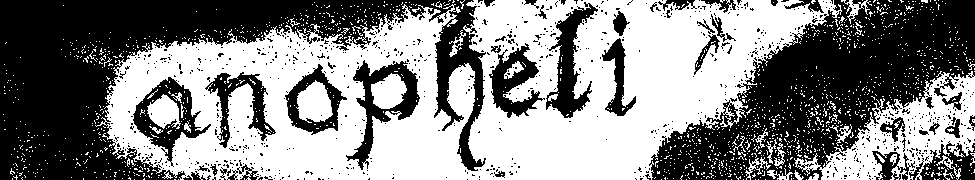 Anopheli — Photo