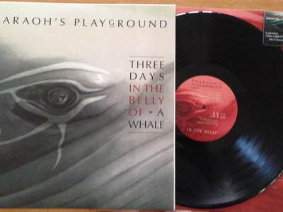 3 Days in the Belly of Whale Vinyl LP and Many Hands CD Package main photo