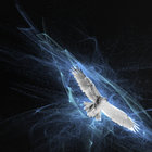 Jon Nix thumbnail