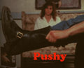 PUSHY image