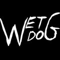 Wet Dog image