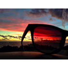 Tom Skwid Parker thumbnail