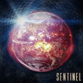 Sentinel image