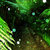 Bandcamp profile picture for @sublix