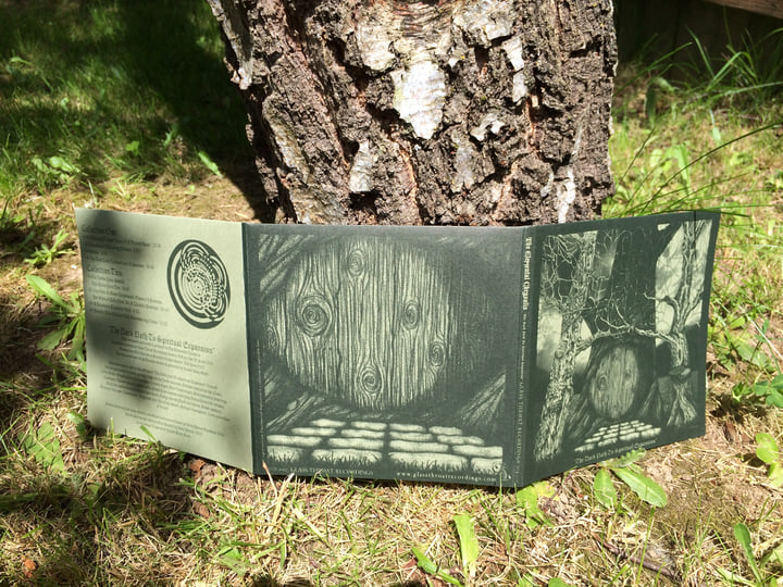 『Path of the Soul』&『Divine Guidance』 Path of the Soul, Destiny Cards: Cheryl Lee Harnish