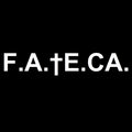 F.A.TE.CA. image