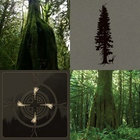 A Gaze Into the Abyss | ANTLERS | Pest Productions