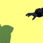 Victor Praud thumbnail