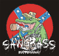 Sawgrass Expressway image
