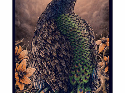 Vernal Equinox Peacock Poster main photo