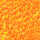 Vertical North thumbnail