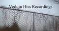 Veduin Hiss Recordings image