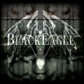 Black Eagle image