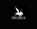 Label Pegasus image