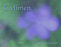 Cylimen image