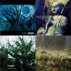 Lost in the Fog アインズヴァッハの墓 Amazon.co.jp: Lost in the Fog アインズヴァッハの墓