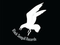 Black Seagull Records image