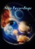 NICO Recordings image