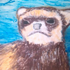 Damien Agnello thumbnail