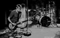 The Shaun Peace Band image