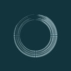 SONGS FOR SWINGING LARVAE / SONGS FROM THE SURGERY | RENALDO