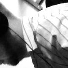 David Werner thumbnail