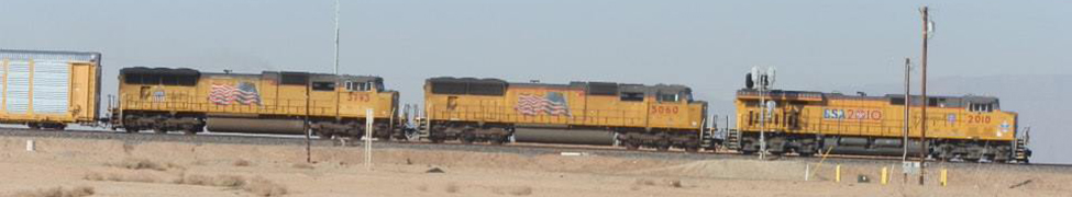 Peyote Ugly — Photo