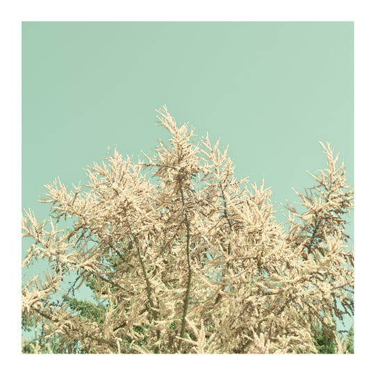 ポップス/ロック(邦楽) WABI SABI ポップス/ロック(邦楽) WABI SABI Amazon Music - Various