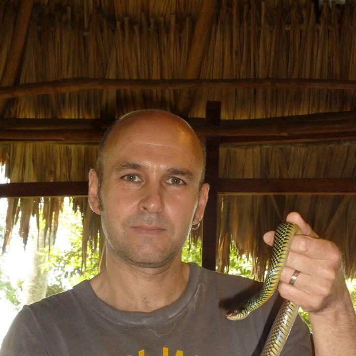 garypowell's collection Bandcamp