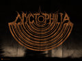 Nyctophilia image