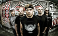 The Psyke Project image